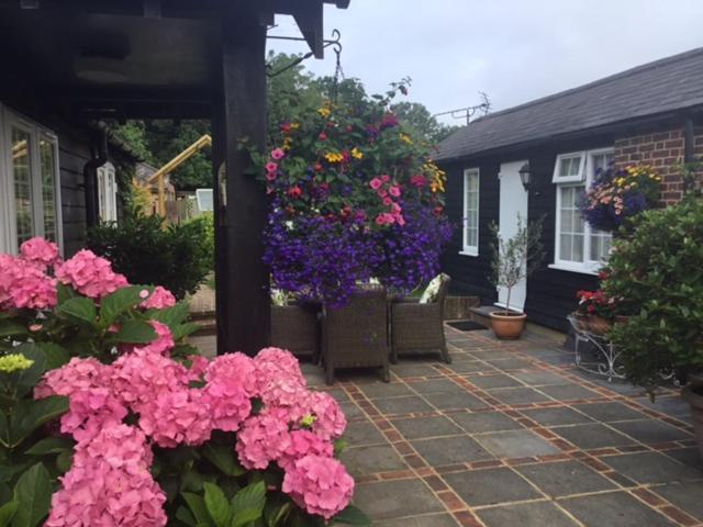 The Coach House Bed & Breakfast Rudgwick ภายนอก รูปภาพ